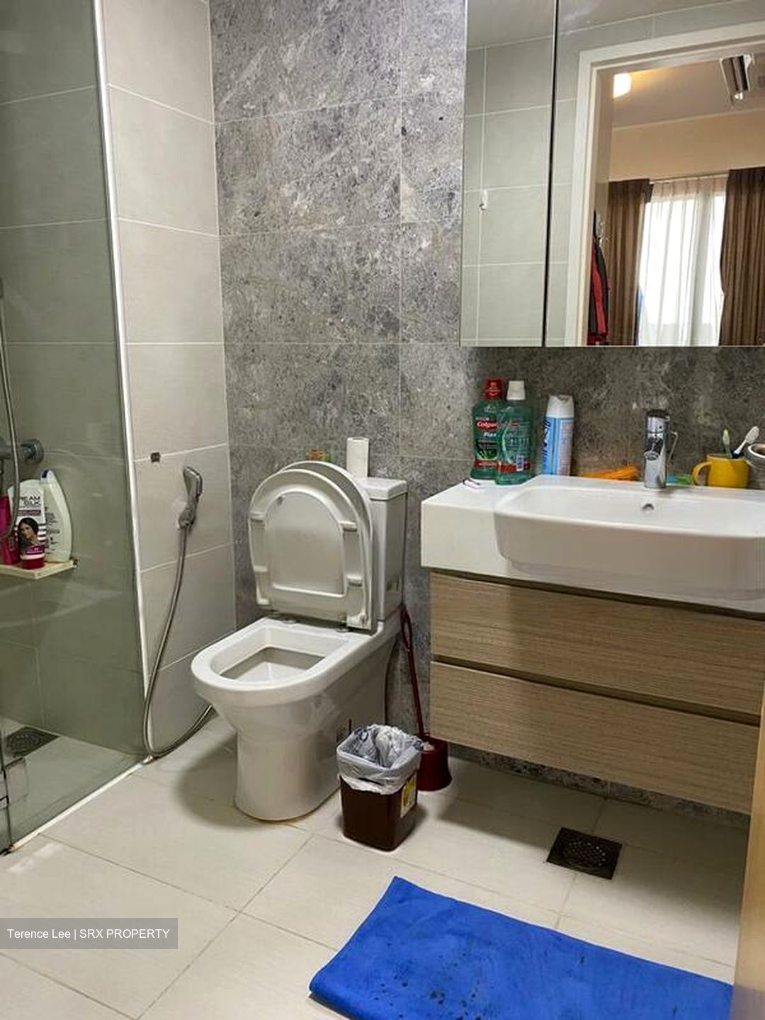The Lakefront Residences (D22), Condominium #458662101